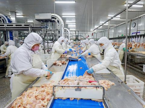 贵州绿源食品科技案例